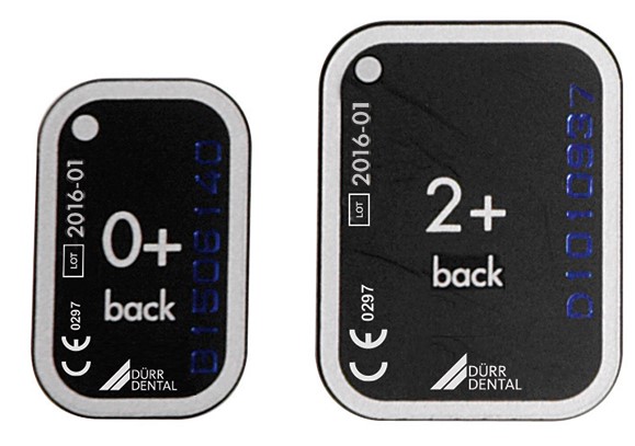 дюрр4.jpg